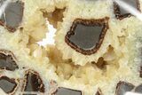 Calcite Crystal Filled, Polished Septarian Bear - Utah #231067-1